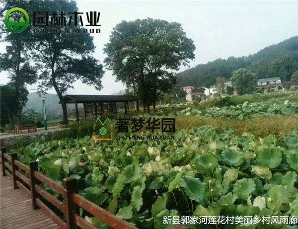 湖北国产91视频APP下载风雨廊